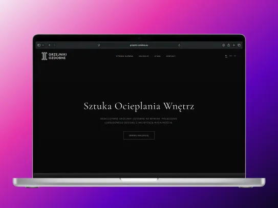 Strona internetowa grzejniki-ozdobne.eu